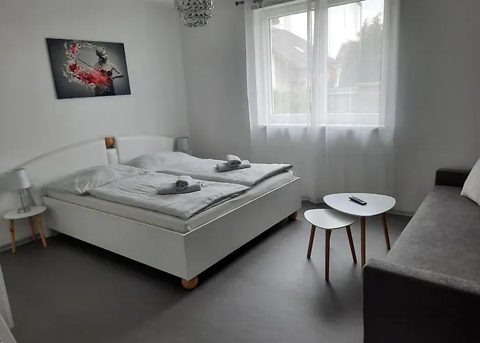 Ela Vilova Skalná