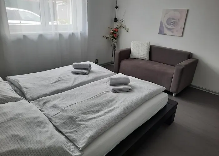Ela Vilova Skalná